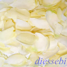 Confezione Petali Avorio