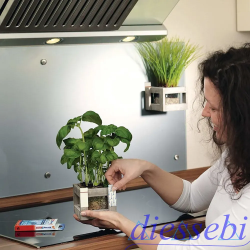 Power Strips Biadesivo Rimovibile Tesa