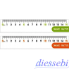 Righello 15 cm Wiler