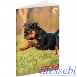 Quaderno A Baby Cuccioli