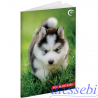 Quaderno A Baby Cuccioli
