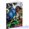 Quaderno quadri Q Sport