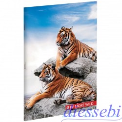 Quaderno A Wild