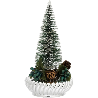 Vasetto con Albero Bagutta Verde