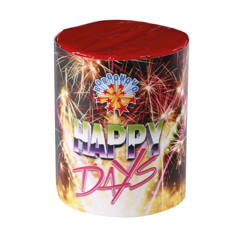 Fontana Happy Days Borgonovo