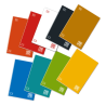 Maxi 24 Fogli 100gr One Color Blasetti A