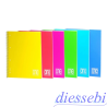 Maxi 1R Spiralato PPL One Colour Blasetti