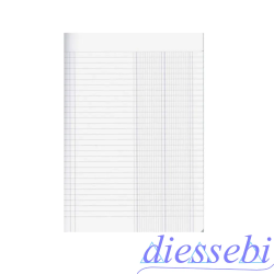Rigatura 2C 2 Colonne Color Club Blasetti