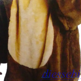 Costume Peluche Orsetto