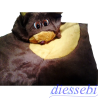 Costume Peluche Orsetto