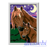 CreArt Cavalli a Mezzanotte Ravensburger