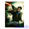 Puzzle Harry Potter Ravensburger