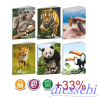 Maxi 24 Fogli 100gr Animal Identikit Blasetti 5mm