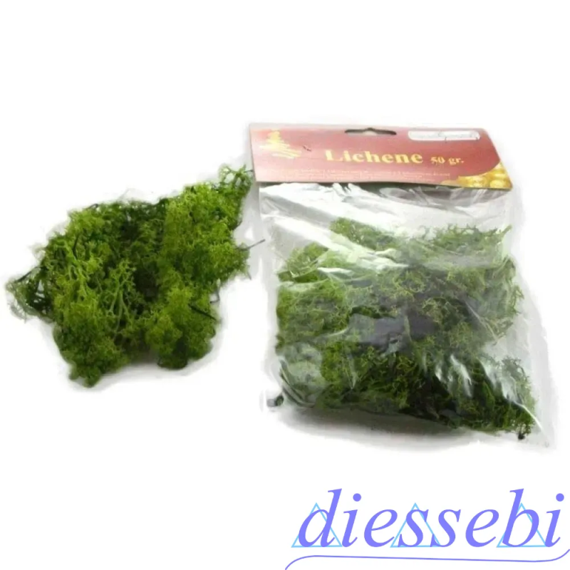 Busta Lichene Chiaro 50gr