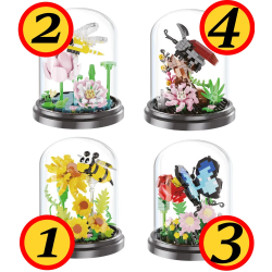 Costruzioni Fiori e Insetti in Teca