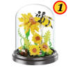Costruzioni Fiori e Insetti in Teca