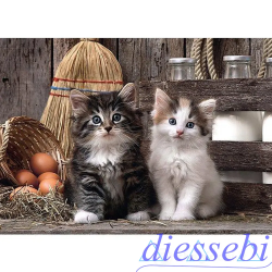 Puzzle 1000 Lovely Kitness Clementoni