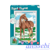 Paint & Frame Wild Horse