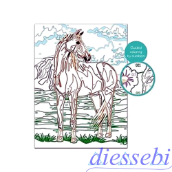 Paint & Frame Wild Horse
