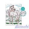 Paint & Frame Wild Horse